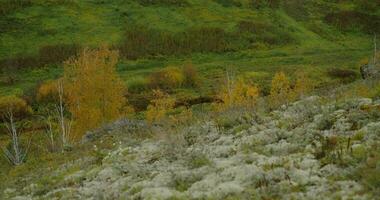 autumn in the southern Urals video