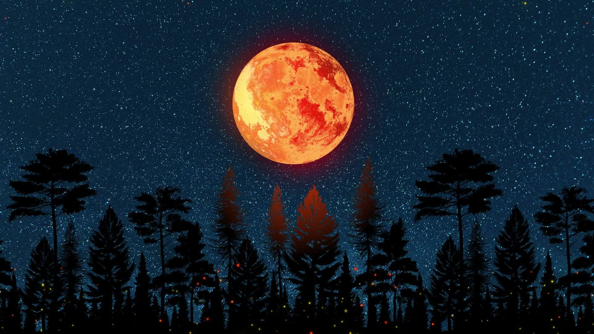 Crescent Night Moon Through Parallax Forest, A Full Moon