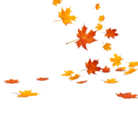 isolated autumn leaves on transparent background png