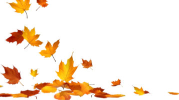 AI generated autumn leaves on transparent background png