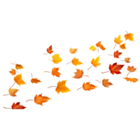 isolated autumn leaves on transparent background png