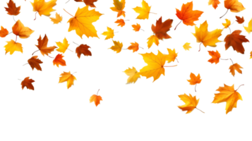 ai généré l'automne feuilles sur transparent Contexte png