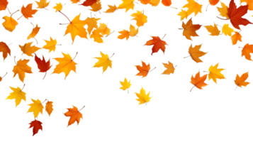 AI generated autumn leaves on transparent background png