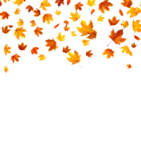 aislado otoño hojas en transparente antecedentes png
