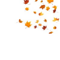 isolated autumn leaves on transparent background png