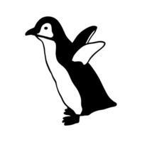 Cute baby Northern Penguin. Monochrome vector illustration. Realistic polar animal