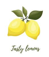 vector ilustración de amarillo limones en un rama. verduras, frutas, cocina, cocinando, comiendo, Bebiendo té, jardinería diseños