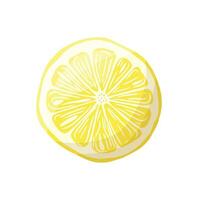 Vector illustration of yellow lemons on a branch. Vegetables, fruits, kitchen, cooking, eating, drinking tea, gardening designs.