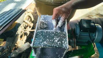 Human hands can be seen grating coconuts using a grater machine photo