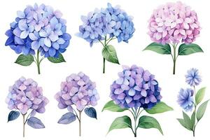 AI generated Set of blue hydrangea flowers. Watercolor illustration, vintage watercolor flower elements of Hydrangea, AI Generated photo