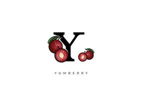 rojo yumberry Fruta vector, genial combinación de yumberry Fruta símbolo con letra y vector