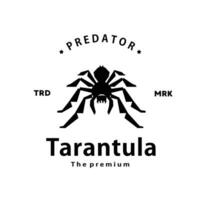 vintage retro hipster tarantula logo vector outline silhouette art icon