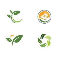 Logos of green Tree leaf ecology vector