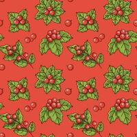 Christmas seamless pattern with holly berry on a red background. vector