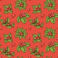 Christmas seamless pattern with holly berry on a red background. vector