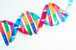 DNA molecule spiral structure model isolated on white background, chromosome and gene chemical science biology. photo