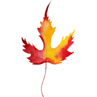 Autumn forest  leaf. png