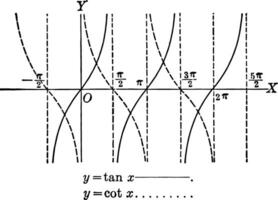 Tangent and Cotangent Curves, ytan x and ycot x
 vintage illustration. vector