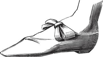 zapato Napoleón. pequeño traje 1805, Clásico grabado. vector