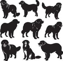 silueta sólido vector icono conjunto de perro, razas, canino, perro, sabueso, cachorro, chucho, mascota, perrito