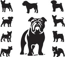 silueta sólido vector icono conjunto de perro, razas, canino, perro, sabueso, cachorro, chucho, mascota, perrito