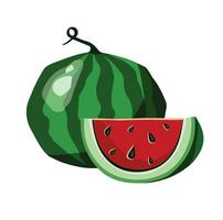 watermelon green striped and its share, hand drawn, with transparent background, illustration 10 eps vector