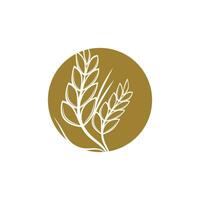 Agriculture wheat logo vector template symbol design