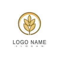 Agriculture wheat logo vector template symbol design