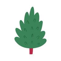 Cute hand drawn fir tree in cartoon flat style, vector illustration isolated on white background. Christmas tree without decorations. Forest, nature and woods element.