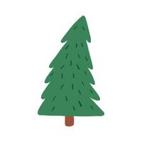 Cute fir tree, hand drawn flat vector illustration isolated on white background. Simple and childish drawing of forest element in cartoon style. Christmas tree without decorations.