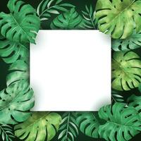 watercolor square frame decorated with monstera  leave vector