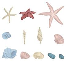 Seashells doodles set. Collection of mollusk shells, starfish. Colored vector illustration in cartoon style. Modern cliparts isolated on white.