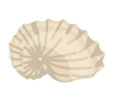 Seashell clipart. Single doodle of mollusk shell isolated on white. Colored vector illustration in cartoon style.