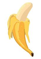 Banana fruit clipart. Sweet exotic fruit doodle isolated on white. Colored vector illustration in cartoon style.