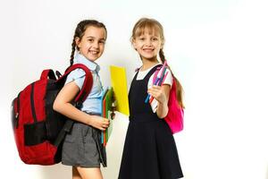 Portrait of two people nice cute lovely charming dreamy attractive cheerful pre-teen girls siblings showing aside ad promotion copy space isolated background photo