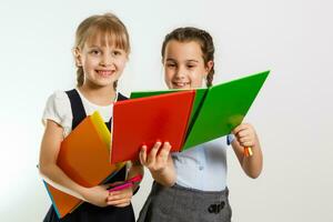 Portrait of two people nice cute lovely charming dreamy attractive cheerful pre-teen girls siblings showing aside ad promotion copy space isolated background photo