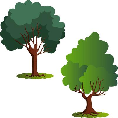 Couple of green trees vector illustration on white background