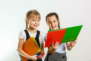 Portrait of two people nice cute lovely charming dreamy attractive cheerful pre-teen girls siblings showing aside ad promotion copy space isolated background photo