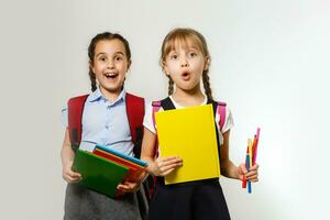 Portrait of two people nice cute lovely charming dreamy attractive cheerful pre-teen girls siblings showing aside ad promotion copy space isolated background photo