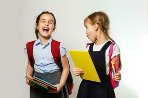 Portrait of two people nice cute lovely charming dreamy attractive cheerful pre-teen girls siblings showing aside ad promotion copy space isolated background photo