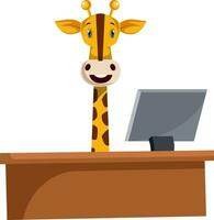 Giraffe working by the desk, illustration, vector on white background.