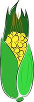 Simple vector nillustration of yellow corn with green keaf white background.