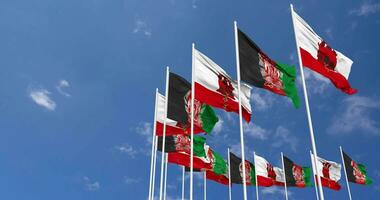 Afghanistan and Gibraltar Flags Waving Together in the Sky, Seamless Loop in Wind, Space on Left Side for Design or Information, 3D Rendering video