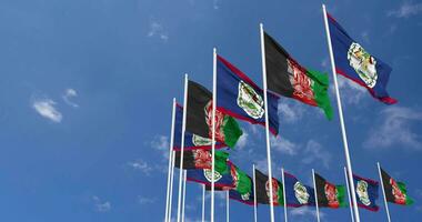 Belize Flags Waving Together in the Sky, Seamless Loop in Wind, Space on Left Side for Design or Information, 3D Rendering video