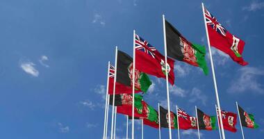 Bermuda Flags Waving Together in the Sky, Seamless Loop in Wind, Space on Left Side for Design or Information, 3D Rendering video