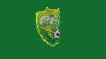 Pakistan Football Federation, PFF Name Intro with Particles Illustration video
