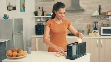 Young woman using bread toaster in the morning for breakfast. Housewife using bread toaster for delicious breakfast. Healthy morning in cozy interior, delicious home meal preparation photo