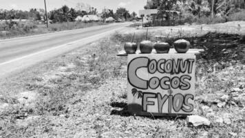 Chiquila Quintana Roo Mexico 2022 Coconut stand shop store outdoor in Chiquila Mexico. video