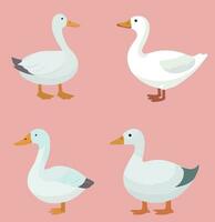 white Goose icon, white background, simplify flat design vector