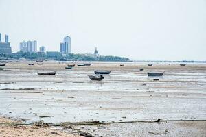 Many fishing boats photo